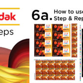 06a. How to use Step and Repeat – Urdu & Hindi | Ai | Kodak Preps